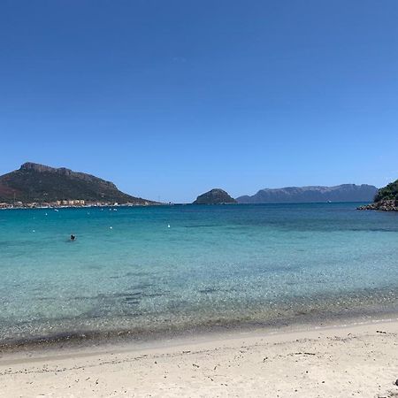 Appartamenti Le Primule Golfo Aranci Exterior foto