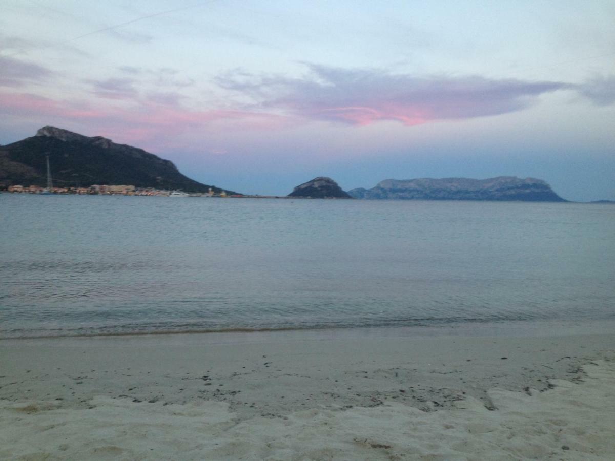 Appartamenti Le Primule Golfo Aranci Exterior foto